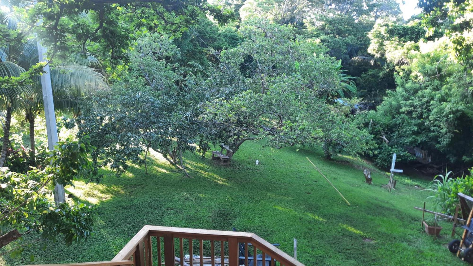 Guava Grove Resort & Villas Sandy Bay Buitenkant foto