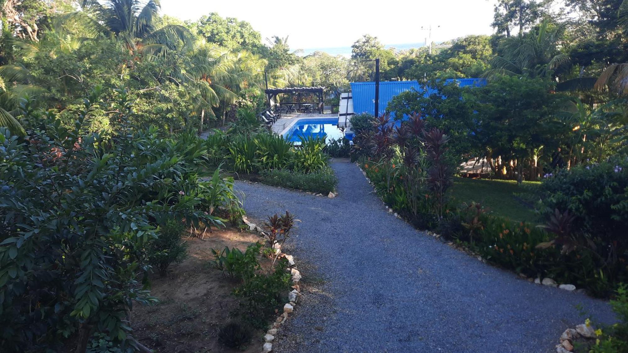 Guava Grove Resort & Villas Sandy Bay Buitenkant foto