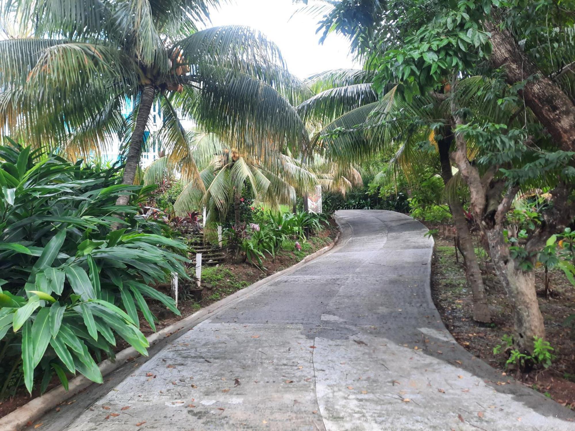 Guava Grove Resort & Villas Sandy Bay Buitenkant foto